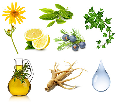 grafica ingredienti naturali olio limone acqua zenzero girasole