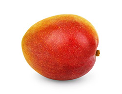 frutto di mango africano maturo arancione e marrone su sfondo bianco