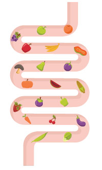 illustrazione di colon sano con frutta e verdura dentro di esso