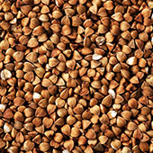 Buck Wheat Buck Wheat