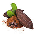 cacao aperto e chiuso e polvere di cacao su sfondo bianco 