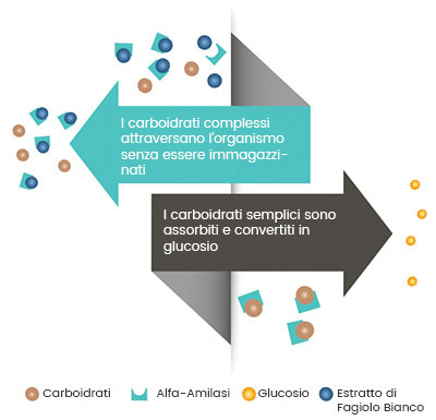 grafica sui benefici carb no more weightworld blocca carboidrati per dimagrire