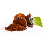 Chaga Chaga
