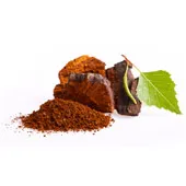 Chaga Chaga