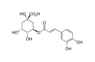 grafica acido cloregenico chimica disegno formula su sfondo bianco