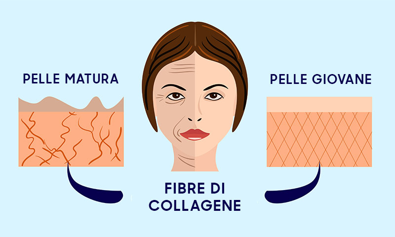 grafica di donna prima e dopo uso di collagene e impatto sulla pelle