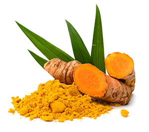 radice di curcuma intear e tagliata a metà polvere con foglie
