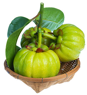 3 frutti verdi garcinia cambogia a forma di zucca