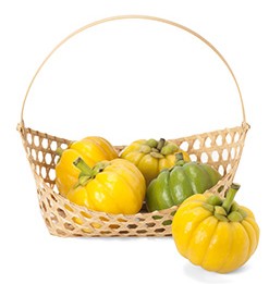 garcinia cambogia frutti garcinia cambogia frutti