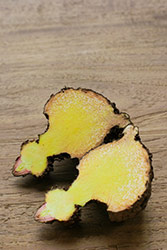 radice di konjac gialla tagliata a metà soppressore appetito 