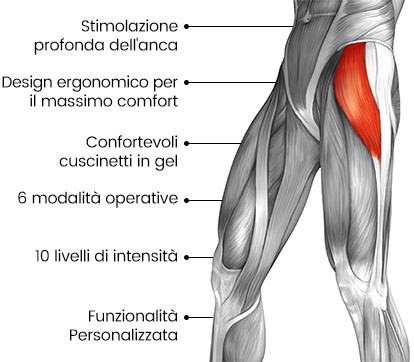 corpo umano grafica per mostrare stimolazione di fianchi e glutei corpo umano grafica per mostrare stimolazione di fianchi e glutei