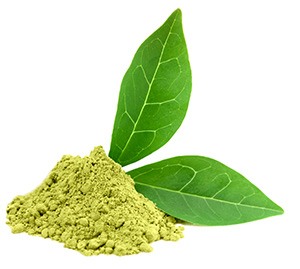 polvere verde di caffè verde con foglia verde accanto