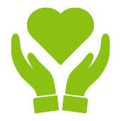 The Heart