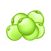 Metabolismo lipidico Metabolismo lipidico
