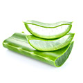Aloe Vera Aloe Vera