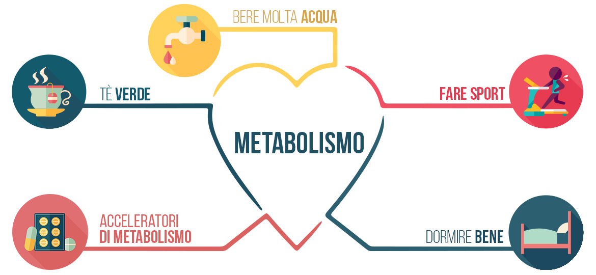 infografica su come accelerare il metabolismo bere acqua tisane e infusi