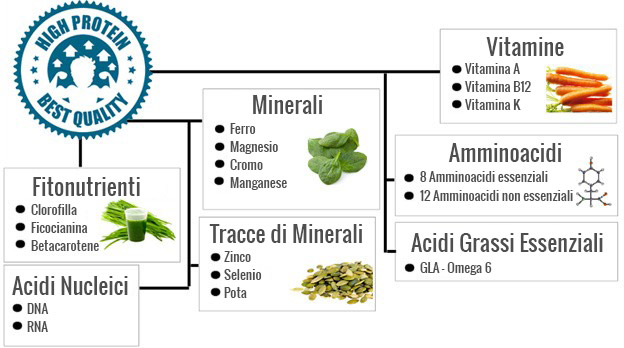 grafica spirulina e quantità di nutrienti maggiori rispetto ad altri superfood