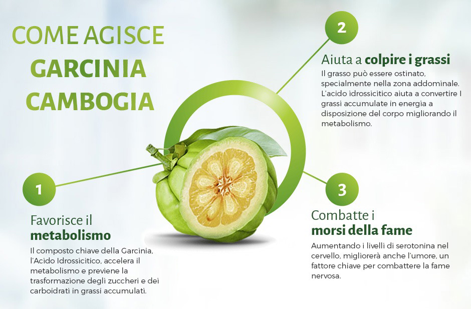 infografica garcinia cambogia forma zucca dimagrante weightworld contro fame nervosa