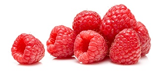 lamponi freschi rosa attaccati a pianta ingredienti freschi