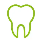 Disegno della forma di un dente in verde su sfondo bianco.