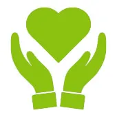 Schizzo verde delle mani che tengono cuore su una priorità bassa bianca Schizzo verde delle mani che tengono cuore su una priorità bassa bianca