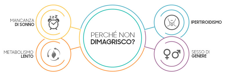 grafica che spiega perchè è difficile perdere peso e perchè non dimagrisco