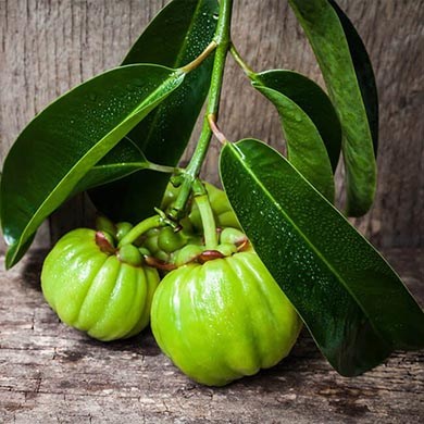 Le Proprietà di Garcinia Cambogia