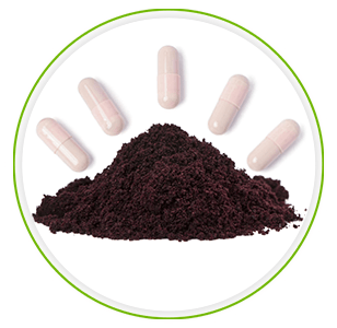 polvere di bacche di acai viola e pillole di acai pure