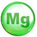 Cerchio verde con lettere Mg nel mezzo. Lo sfondo è bianco Cerchio verde con lettere Mg nel mezzo. Lo sfondo è bianco