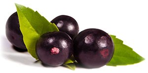 immagine della bacca di acai le cui pure compresse di acai sono
