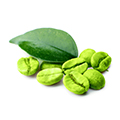 Caffè Verde