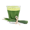 Succo d’Orzo