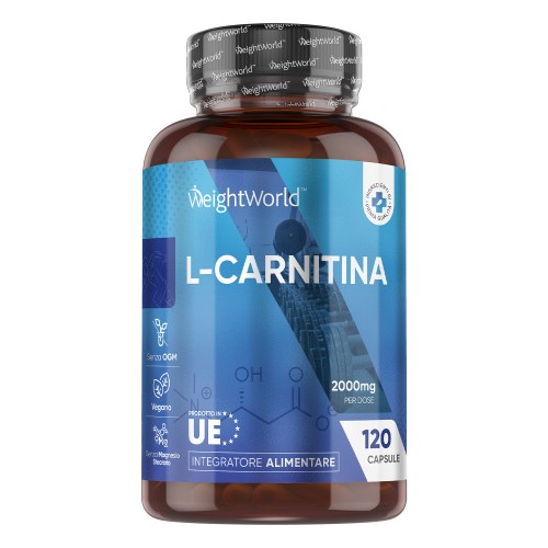 L-Carnitina Capsule