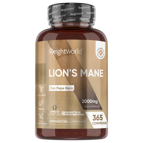 Compresse di Fungo Lion’s Mane