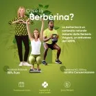 Infografica cos'è la Berberina HCL