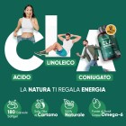 Confezione CLA da 180 capsule WeightWorld