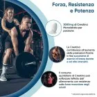 Infografica sui benefici della Creatina Monoidrato WeightWorld su forza, resistenza ed energia