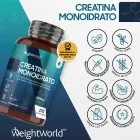 Infografica sulle certificazioni della Creatina Monoidrato WeightWorld