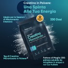 Caratteristiche della Creatina in Polvere 1 kg di WeightWorld