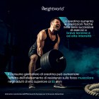 Benefici dell’utilizzo di Creatina in Polvere WeightWorld per i tuoi allenamenti