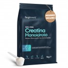 Creatina Monoidrato in Polvere