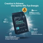 Caratteristiche della Creatina in Polvere 500g di WeightWorld