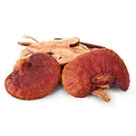 Reishi Reishi