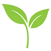Rivitalizzazione