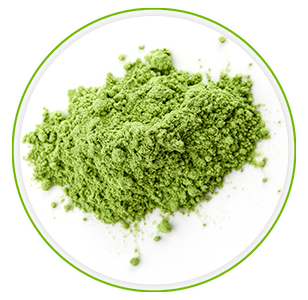 infgrafica benefici della polvere magica Superfood Green Magic proto-col