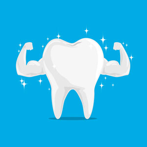 Bones & Teeth Bones & Teeth