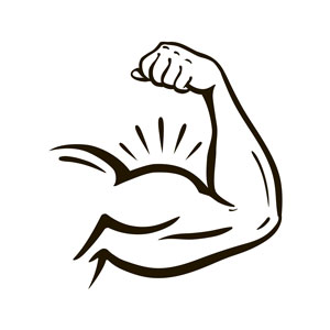 Muscles & Cells Muscles & Cells