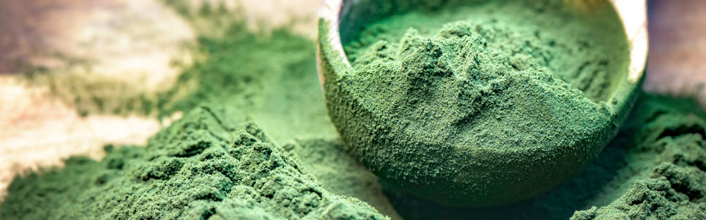 Controindicazioni dell'alga Clorella