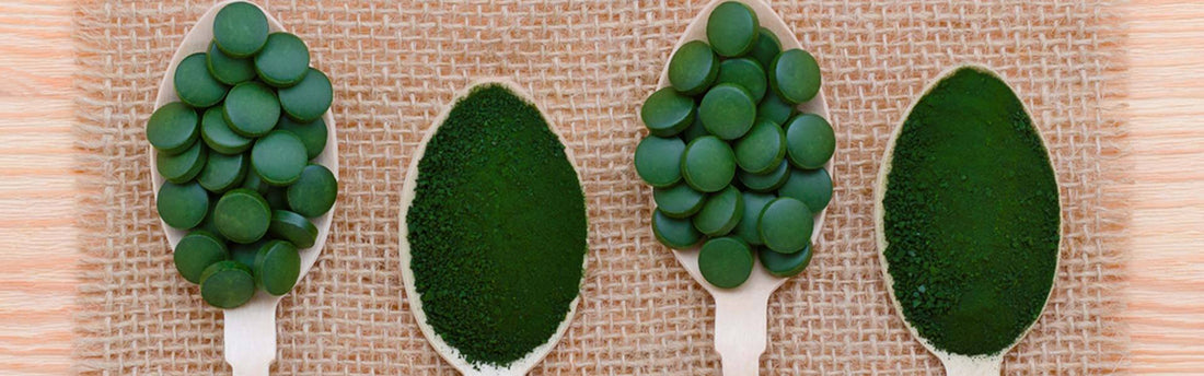 I vantaggi della Clorella: in polvere o in compresse?