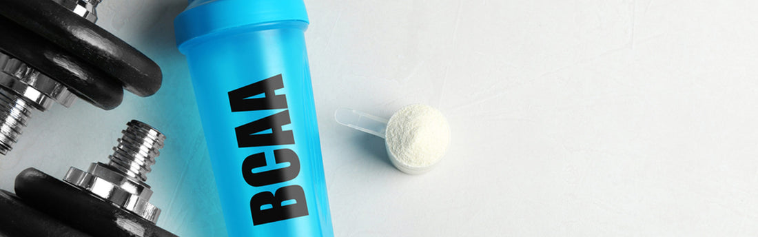 Che cosa sono gli aminoacidi BCAA?